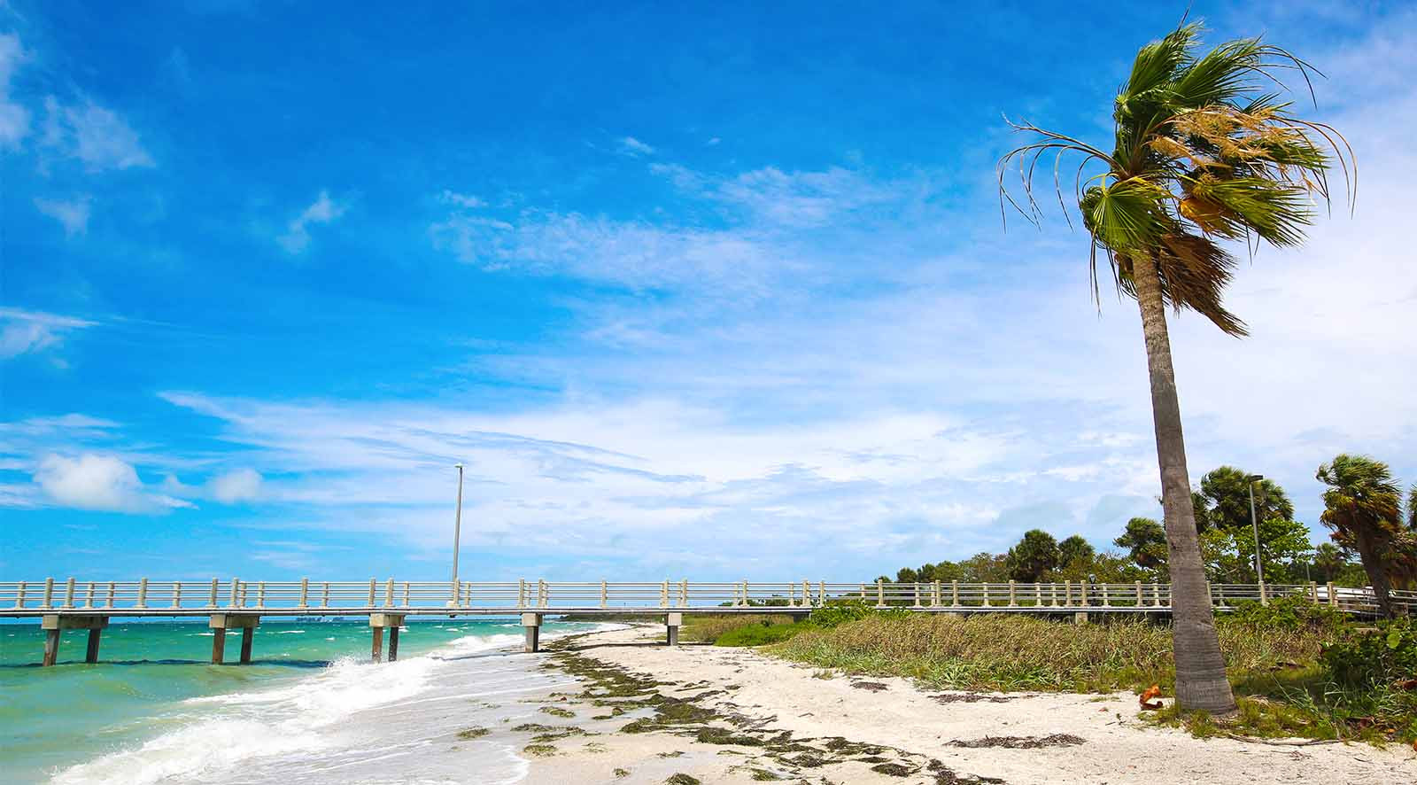 Windy Florida beach